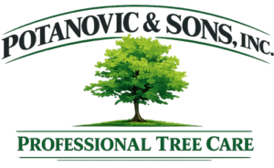 Potanovic&SonsInc.logo